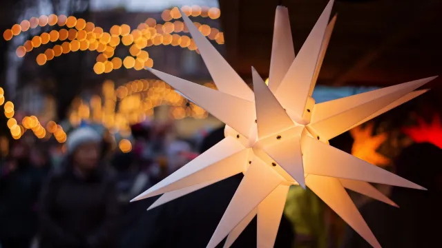 Weihnachtsstern Weihnachtsstern